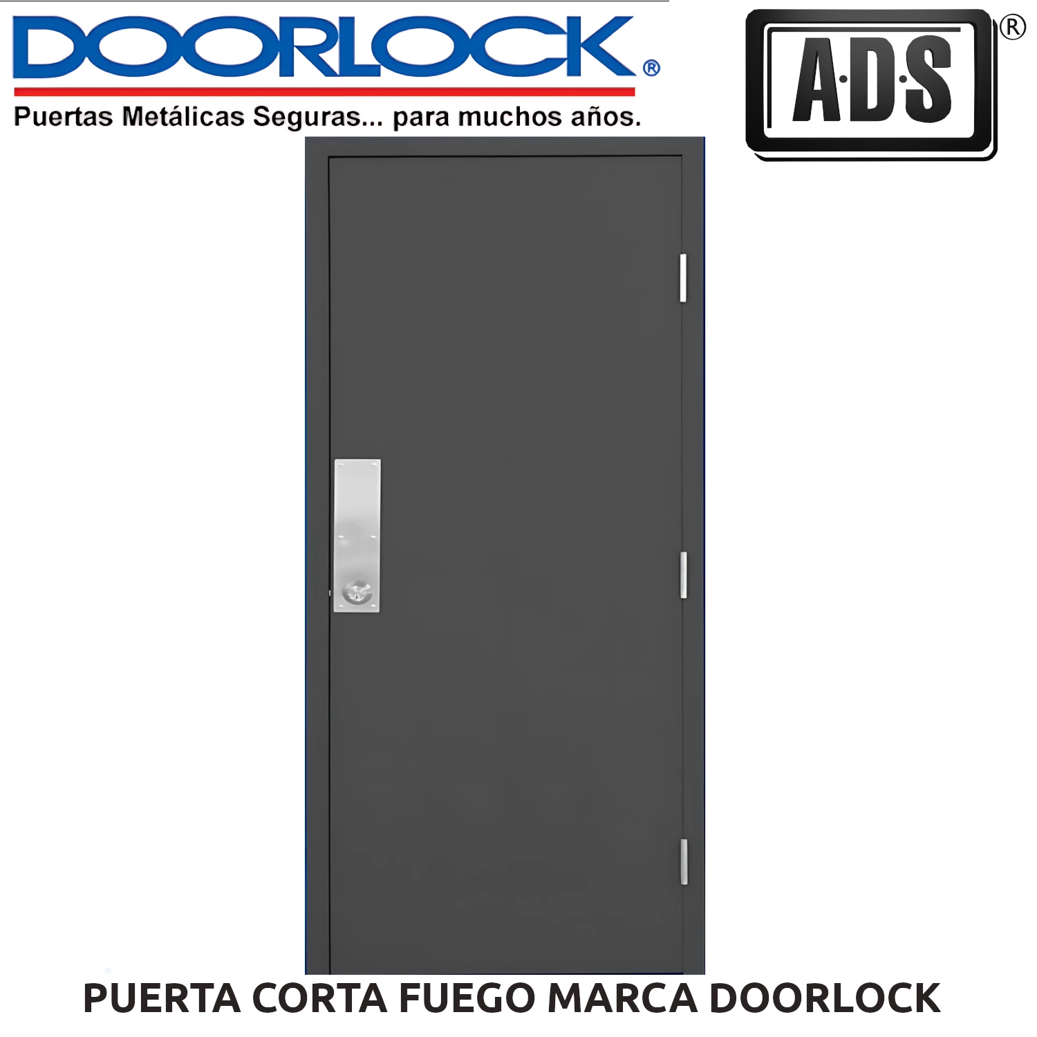 PUERTA CORTA FUEGO MARCA DOORLOCK